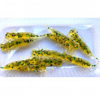 LARVA 1.6 #005 (4.3, 10pcs)