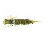 LARVA 1.6 #001 (4.3, 10pcs)