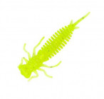 LARVA 2.0 #024 (5, 8pcs)