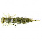 LARVA 2.5 #001 (6.5, 7pcs)