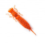LARVA 2.0 #023 (5, 8pcs)