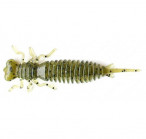 LARVA 2.0 #001 (5, 8pcs)